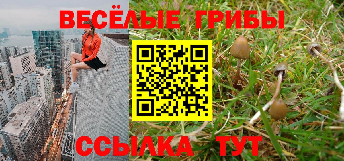 Псилоцибиновые грибы MAGIC MUSHROOMS Южно-Сахалинск